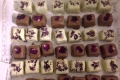 Pralinen Stardessert